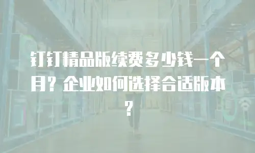 钉钉精品版续费多少钱一个月？企业如何选择合适版本？