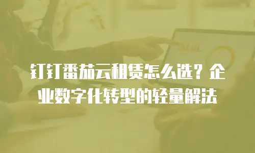 钉钉番茄云租赁怎么选？企业数字化转型的轻量解法