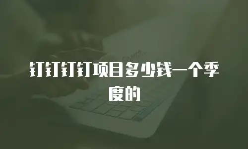 钉钉钉钉项目多少钱一个季度的