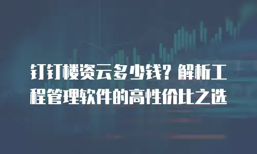 钉钉楼资云多少钱？解析工程管理软件的高性价比之选