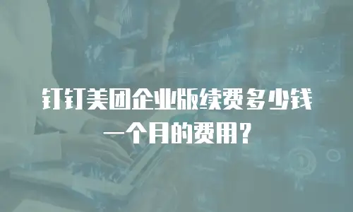 钉钉美团企业版续费多少钱一个月的费用？