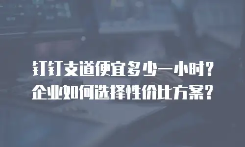 钉钉支道便宜多少一小时？企业如何选择性价比方案？