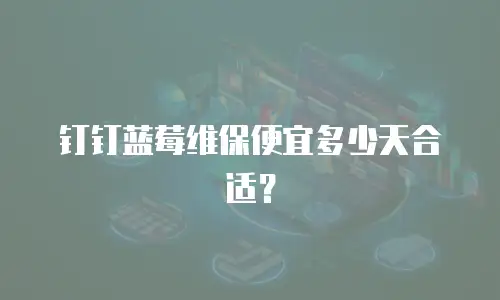 钉钉蓝莓维保便宜多少天合适？