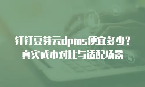 钉钉豆芽云dpms便宜多少？真实成本对比与适配场景