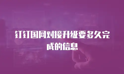 钉钉国网对接升级要多久完成的信息