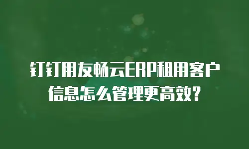 钉钉用友畅云ERP租用客户信息怎么管理更高效？