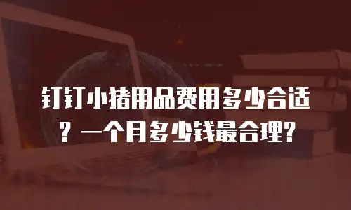 钉钉小猪用品费用多少合适？一个月多少钱最合理？