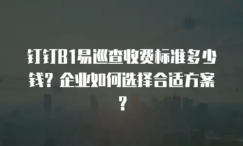 钉钉B1易巡查收费标准多少钱？企业如何选择合适方案？