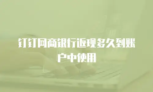 钉钉网商银行返现多久到账户中使用