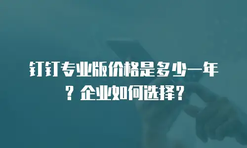 钉钉专业版价格是多少一年？企业如何选择？