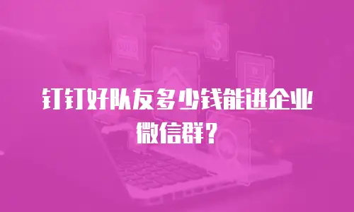 钉钉好队友多少钱能进企业微信群？