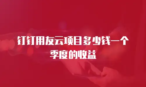 钉钉用友云项目多少钱一个季度的收益