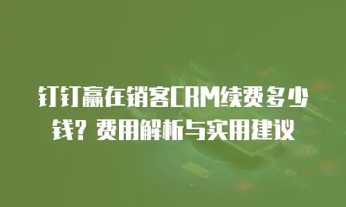 钉钉赢在销客CRM续费多少钱？费用解析与实用建议