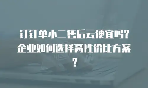 钉钉单小二售后云便宜吗？企业如何选择高性价比方案？