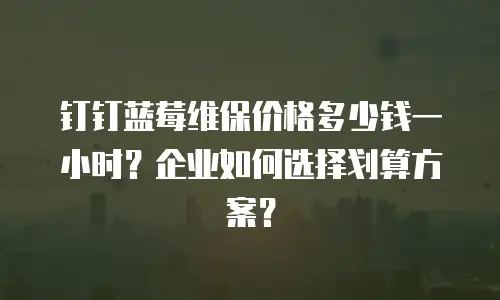 钉钉蓝莓维保价格多少钱一小时？企业如何选择划算方案？