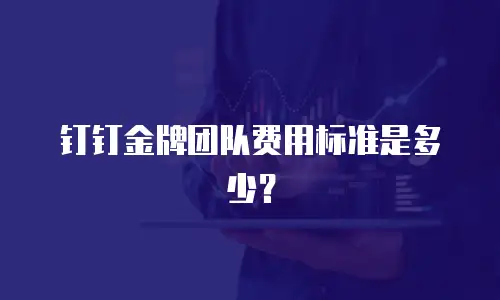 钉钉金牌团队费用标准是多少？