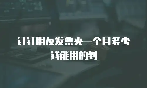 钉钉用友发票夹一个月多少钱能用的到