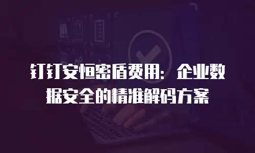 钉钉安恒密盾费用：企业数据安全的精准解码方案