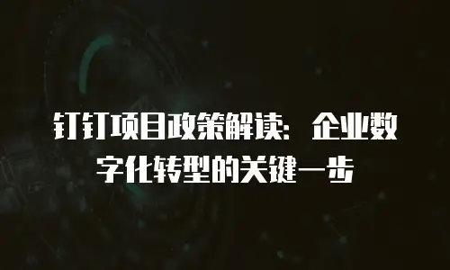 钉钉项目政策解读：企业数字化转型的关键一步