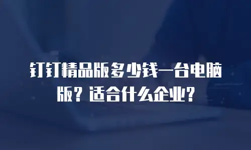 钉钉精品版多少钱一台电脑版？适合什么企业？