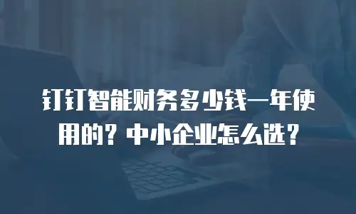 钉钉智能财务多少钱一年使用的？中小企业怎么选？