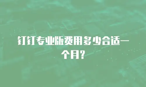 钉钉专业版费用多少合适一个月？