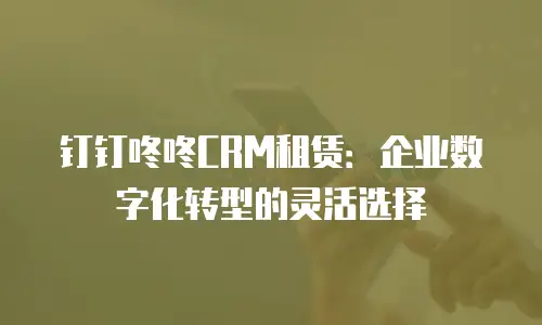 钉钉咚咚CRM租赁：企业数字化转型的灵活选择
