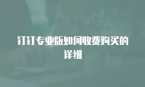 钉钉专业版如何收费购买的详细