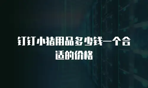 钉钉小猪用品多少钱一个合适的价格