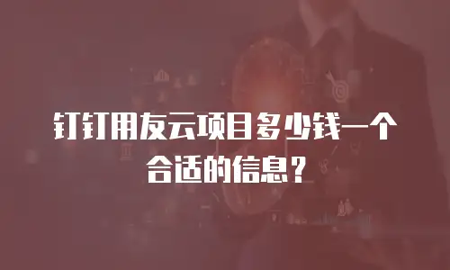 钉钉用友云项目多少钱一个合适的信息？