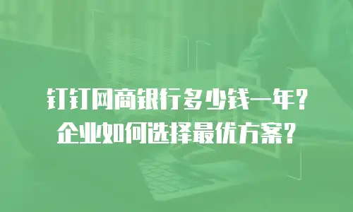 钉钉网商银行多少钱一年？企业如何选择最优方案？