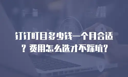 钉钉盯目多少钱一个月合适？费用怎么选才不踩坑？