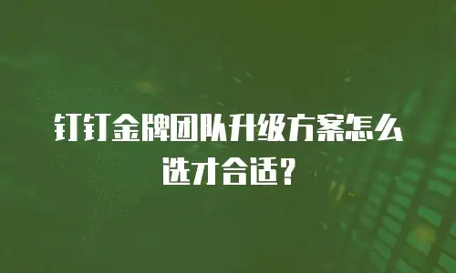 钉钉金牌团队升级方案怎么选才合适？