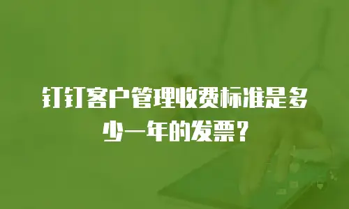 钉钉客户管理收费标准是多少一年的发票？