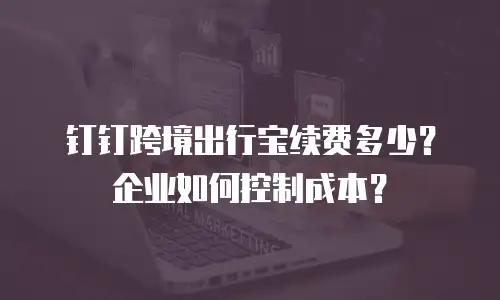 钉钉跨境出行宝续费多少？企业如何控制成本？