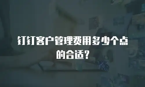 钉钉客户管理费用多少个点的合适？