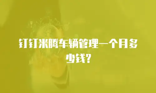 钉钉米腾车辆管理一个月多少钱？
