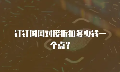 钉钉国网对接折扣多少钱一个点？