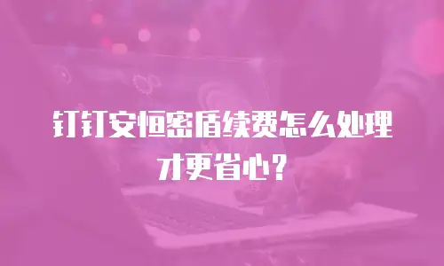 钉钉安恒密盾续费怎么处理才更省心？