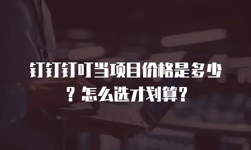 钉钉钉叮当项目价格是多少？怎么选才划算？