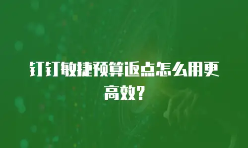 钉钉敏捷预算返点怎么用更高效？