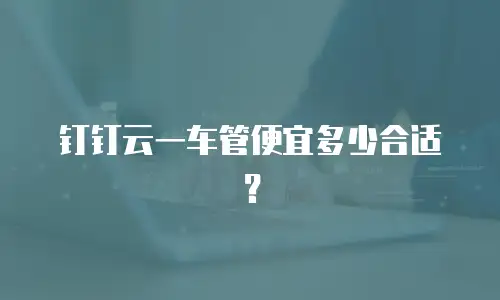 钉钉云一车管便宜多少合适？
