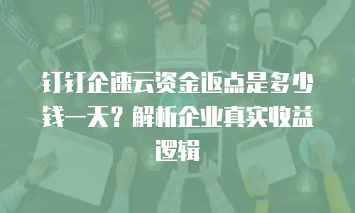 钉钉企速云资金返点是多少钱一天？解析企业真实收益逻辑