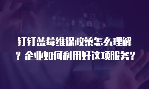 钉钉蓝莓维保政策怎么理解？企业如何利用好这项服务？