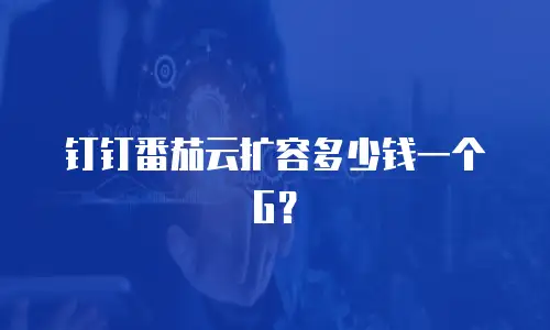 钉钉番茄云扩容多少钱一个G？