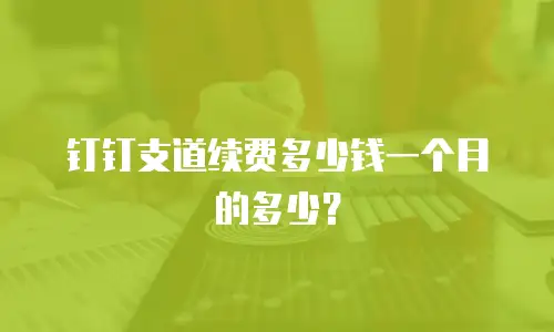 钉钉支道续费多少钱一个月的多少？