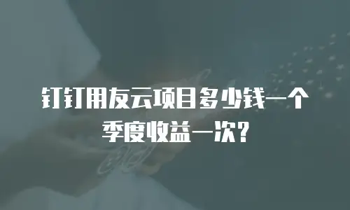 钉钉用友云项目多少钱一个季度收益一次？