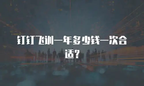 钉钉飞训一年多少钱一次合适？