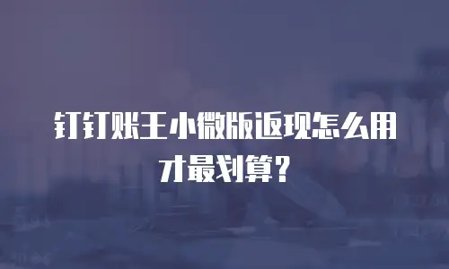 钉钉账王小微版返现怎么用才最划算？