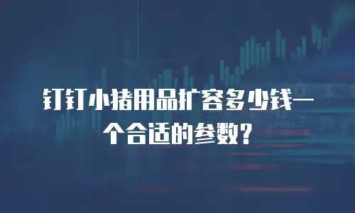 钉钉小猪用品扩容多少钱一个合适的参数？